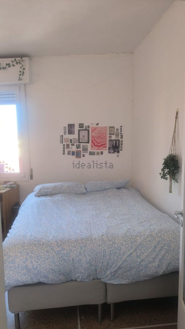 appartamento in affitto a Bologna