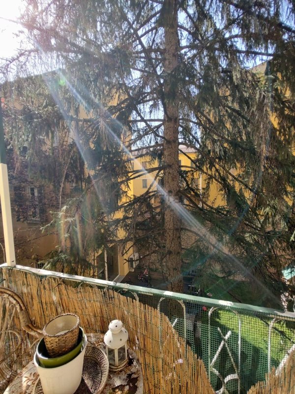 appartamento in affitto a Bologna