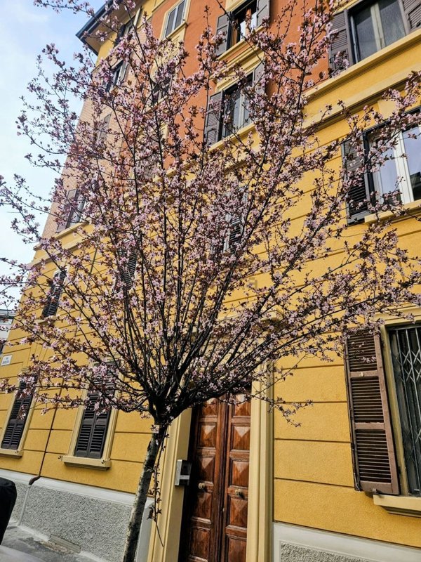 appartamento in affitto a Bologna in zona Centro Storico