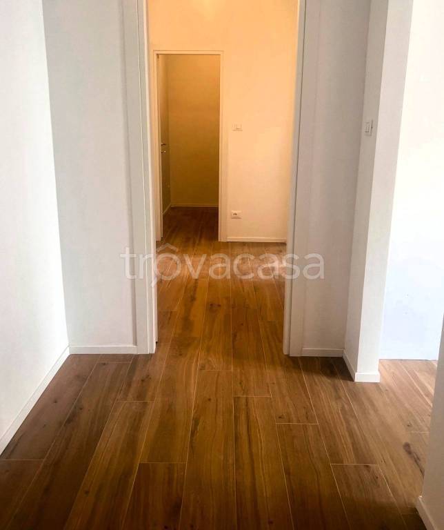 appartamento in affitto a Bologna in zona Saffi