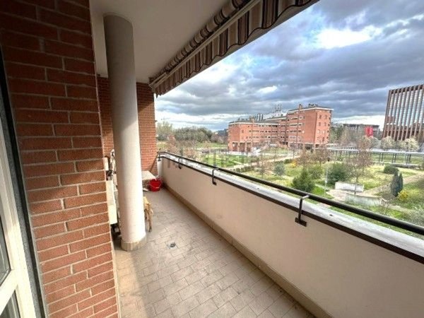 appartamento in affitto a Bologna