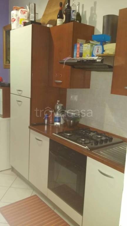 appartamento in affitto a Bologna in zona Saffi