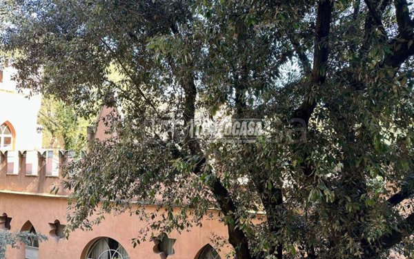 appartamento in affitto a Bologna in zona Santo Stefano