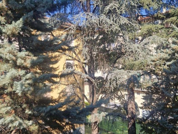 appartamento in affitto a Bologna in zona Borgo Panigale