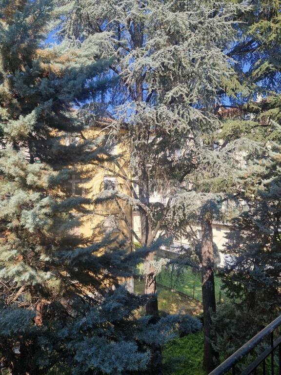 appartamento in affitto a Bologna in zona Borgo Panigale