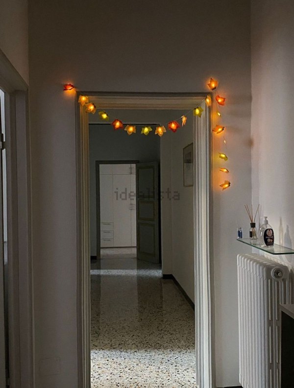 appartamento in affitto a Bologna in zona San Vitale