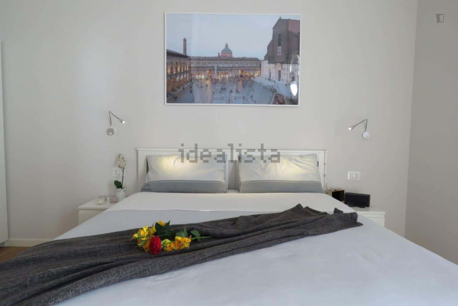 appartamento in affitto a Bologna