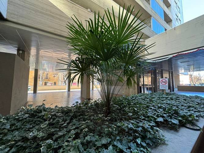 appartamento in affitto a Bologna in zona San Vitale