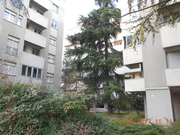 appartamento in affitto a Bologna in zona Centro Storico