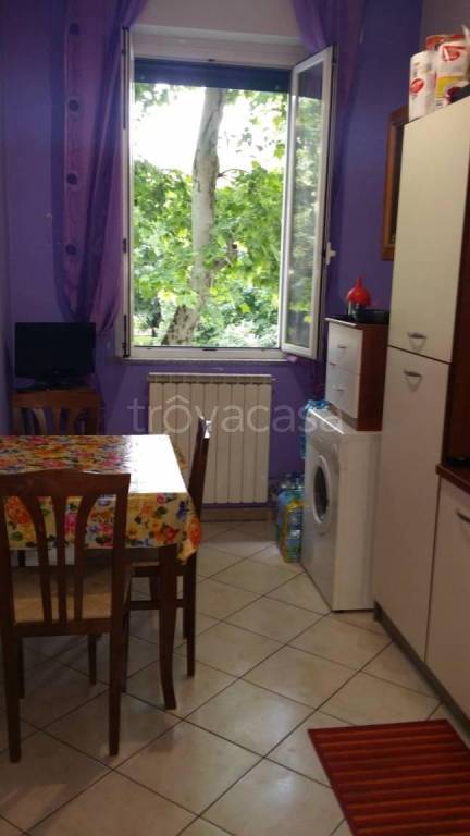 appartamento in affitto a Bologna in zona Saffi