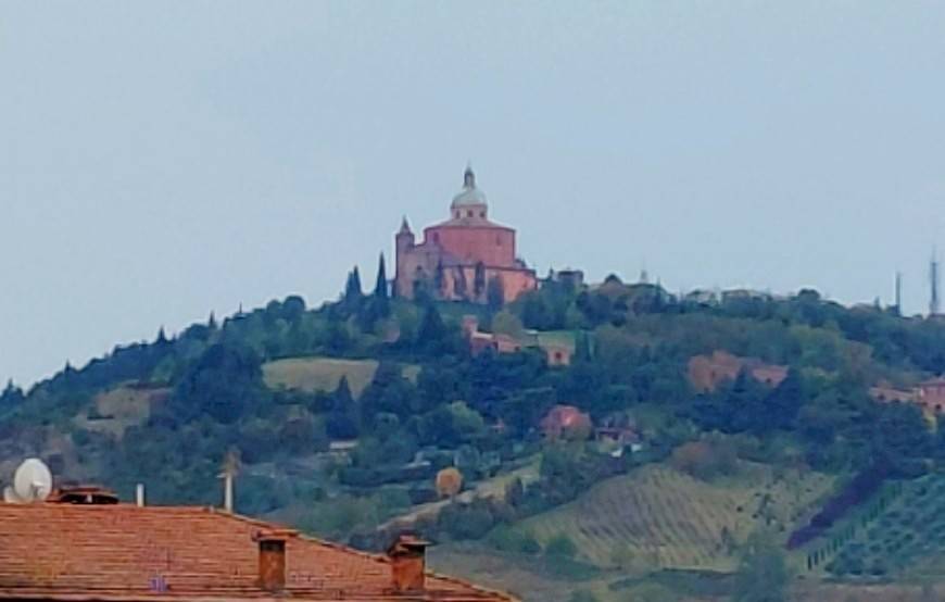 appartamento in affitto a Bologna in zona Saffi