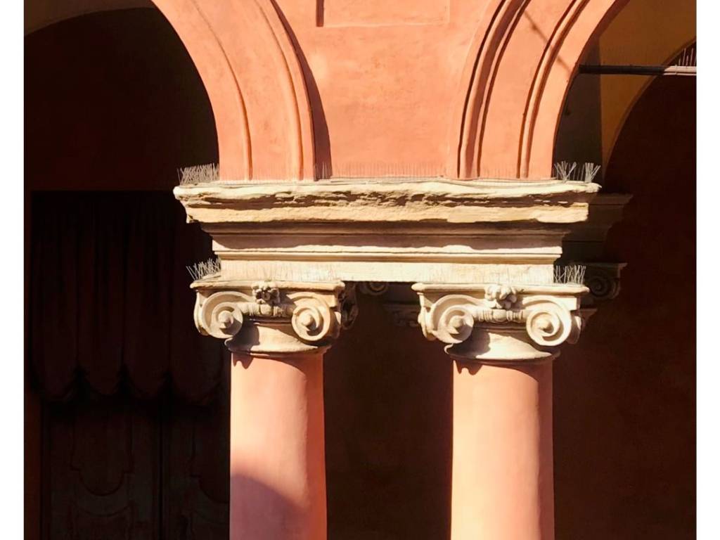 appartamento in affitto a Bologna in zona San Vitale