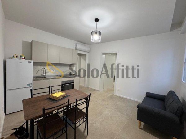 appartamento in affitto a Bologna in zona San Vitale