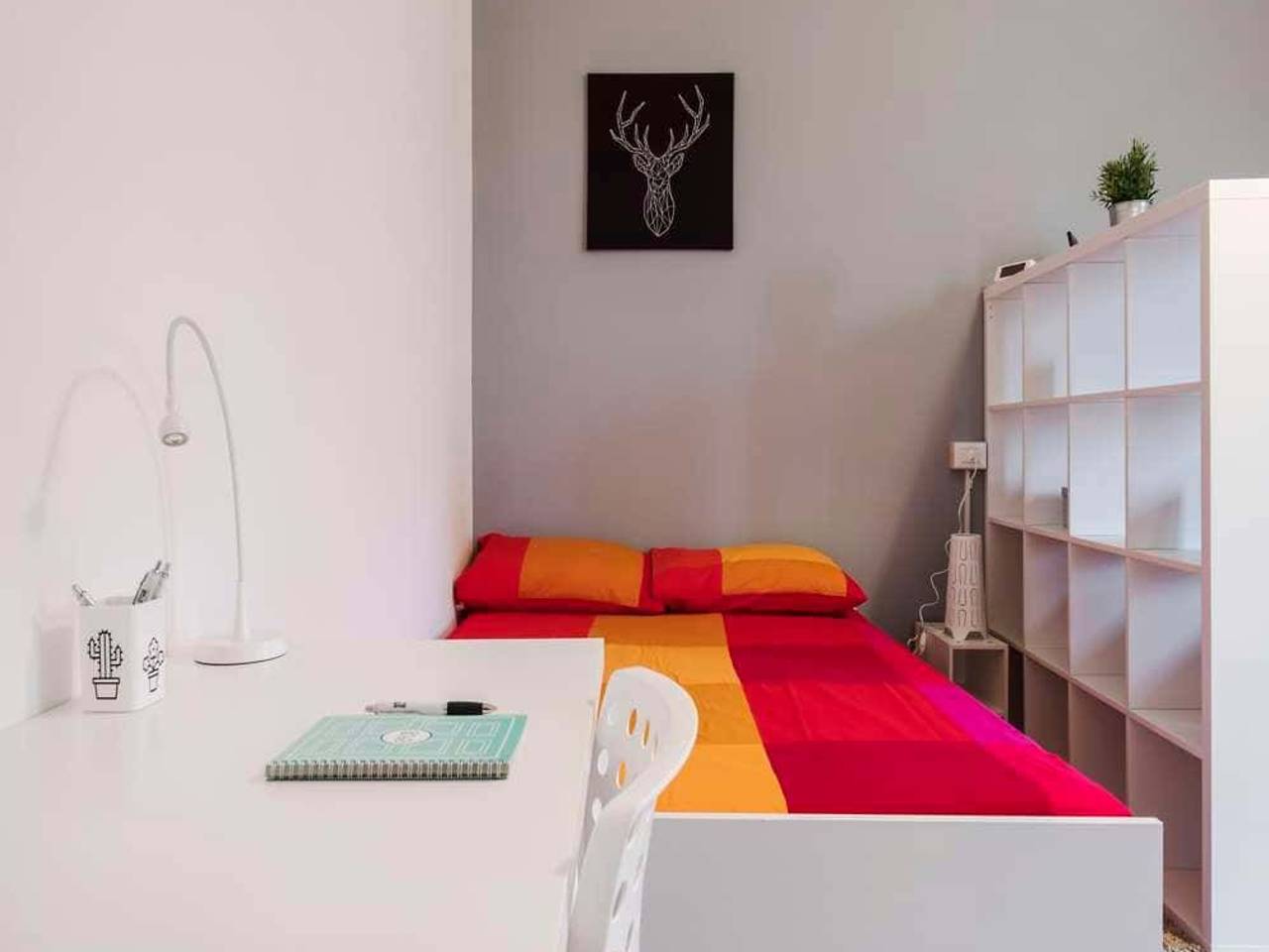 negozio in affitto a Bologna in zona Centro Storico