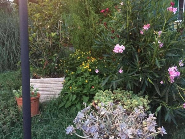 appartamento in affitto a Bologna