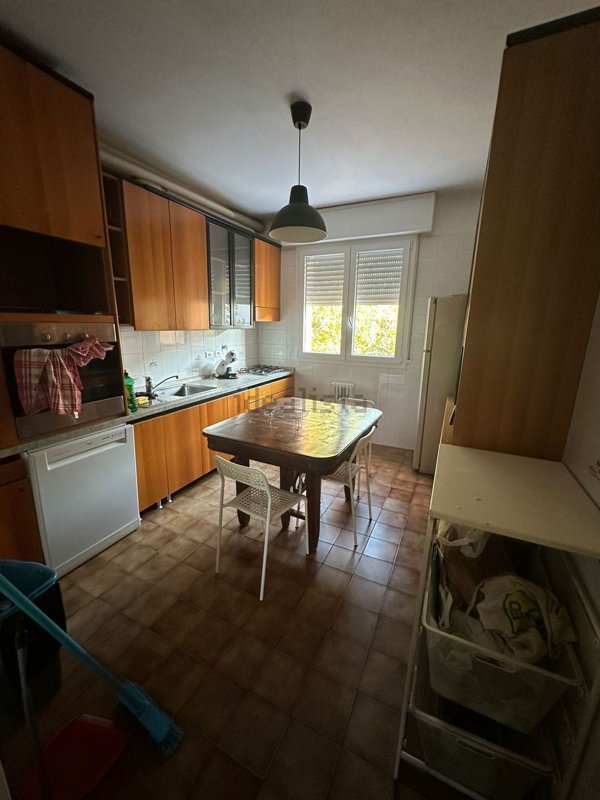 appartamento in affitto a Bologna