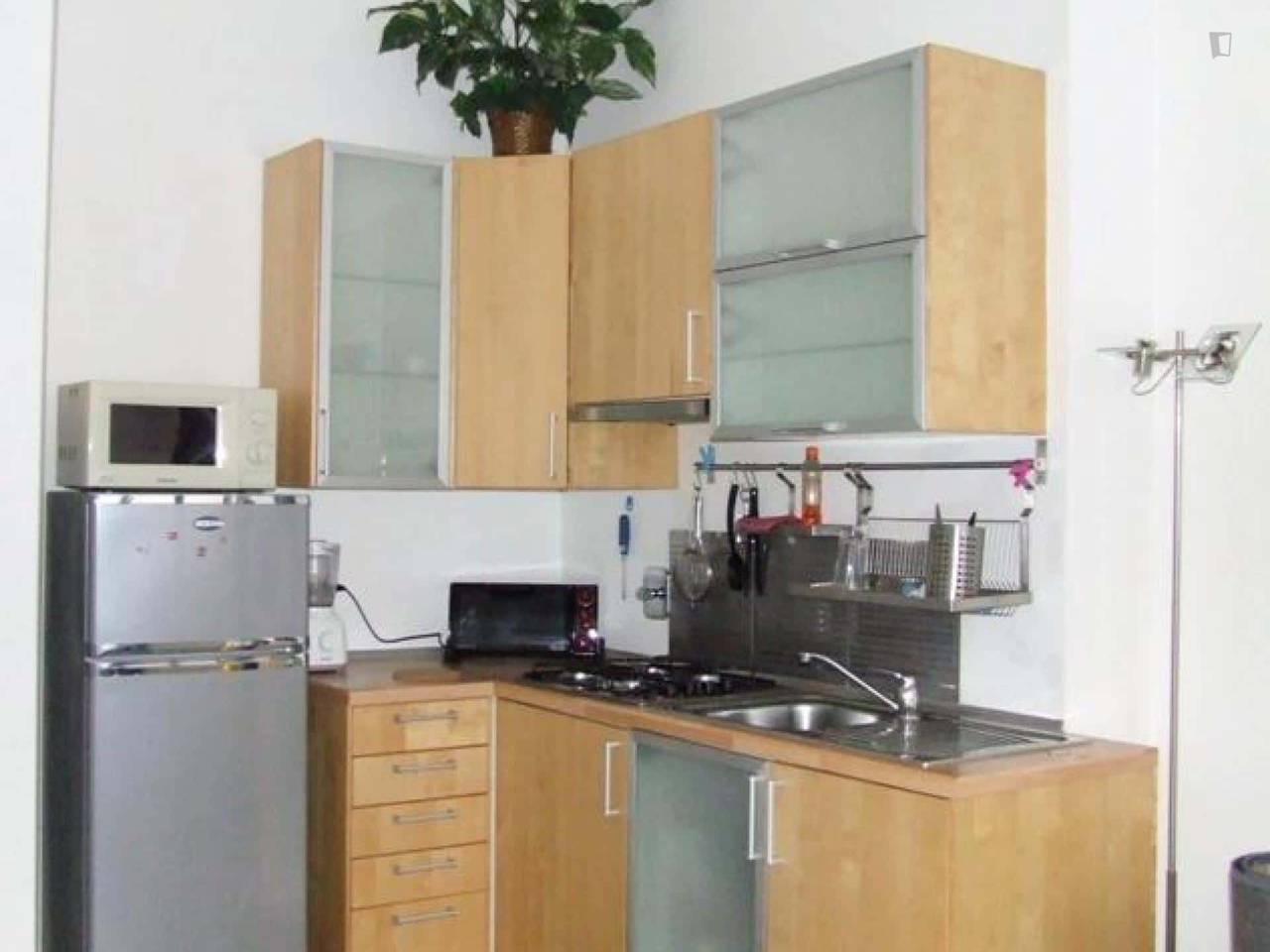 appartamento in affitto a Bologna in zona Centro Storico