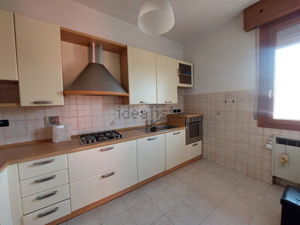 appartamento in affitto a Bologna