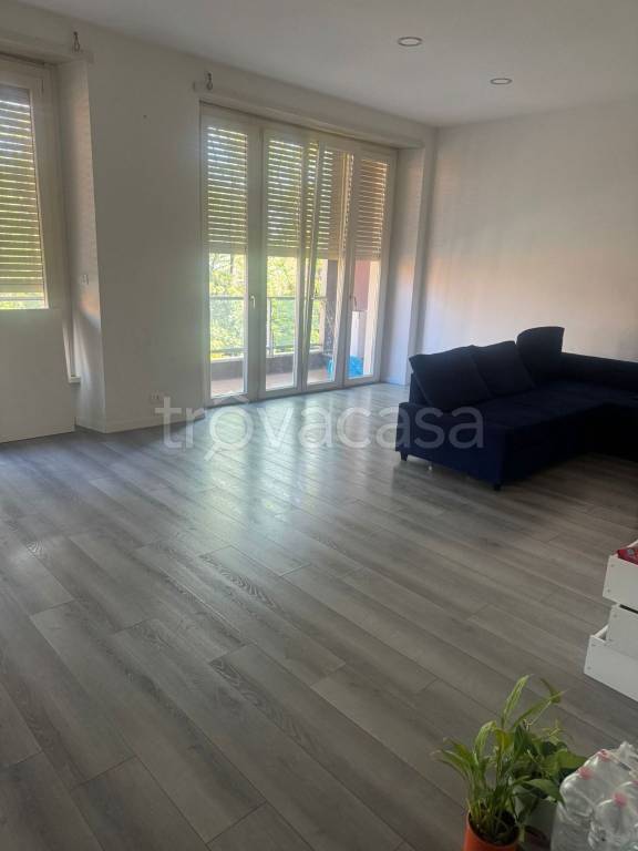 appartamento in affitto a Bologna in zona San Vitale