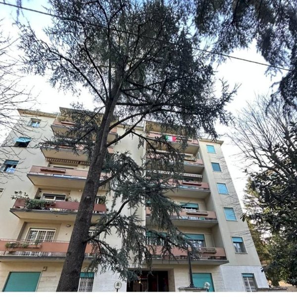 appartamento in affitto a Bologna in zona Santo Stefano
