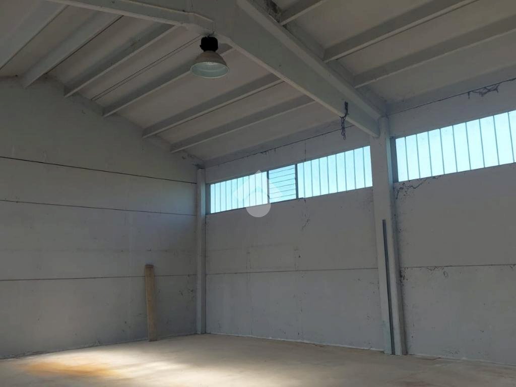 appartamento in affitto a Bologna in zona Borgo Panigale