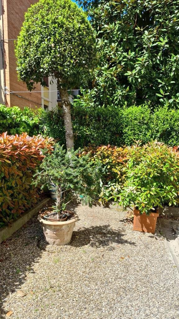 appartamento in affitto a Bologna in zona Santo Stefano