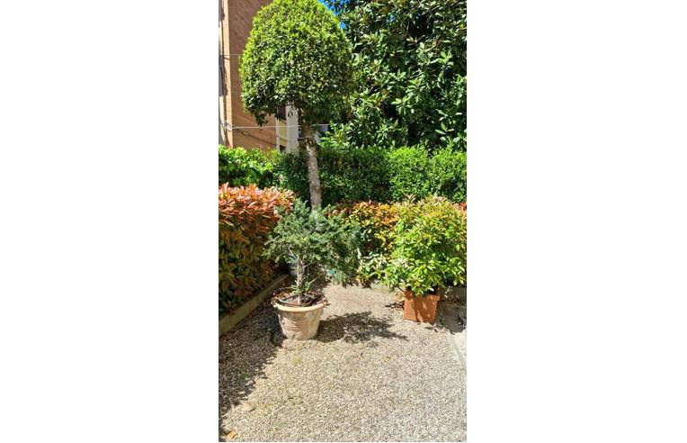 appartamento in affitto a Bologna in zona Santo Stefano