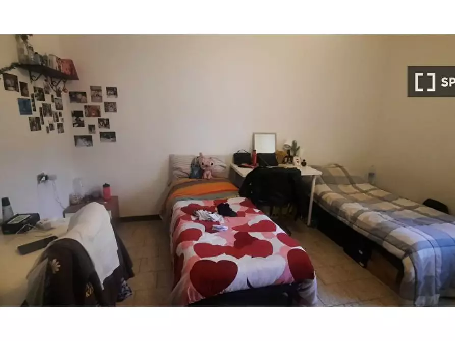 appartamento in affitto a Bologna in zona Murri