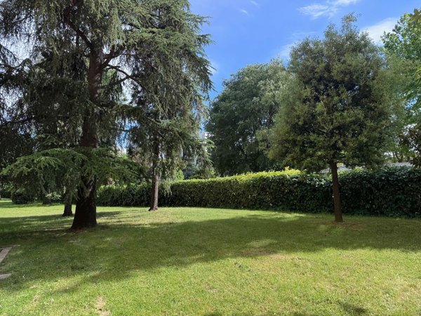 appartamento in affitto a Bologna in zona San Vitale