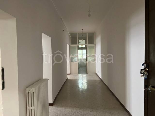 appartamento in affitto a Bologna in zona Santo Stefano