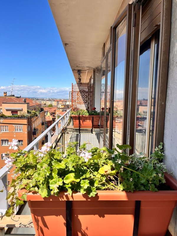 appartamento in affitto a Bologna in zona Centro Storico