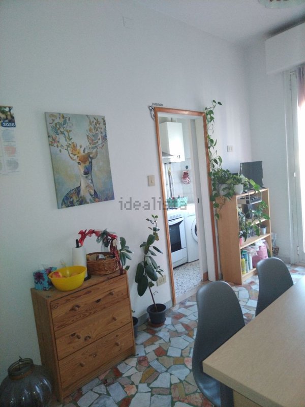 appartamento in affitto a Bologna