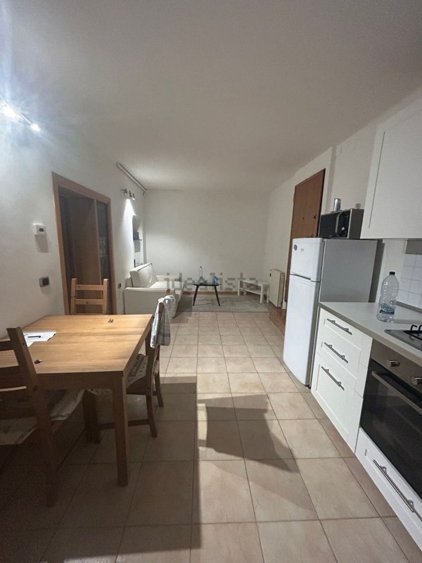appartamento in affitto a Bologna in zona Santo Stefano