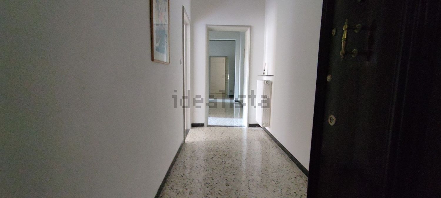 appartamento in affitto a Bologna in zona San Vitale