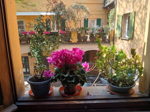 appartamento in affitto a Bologna