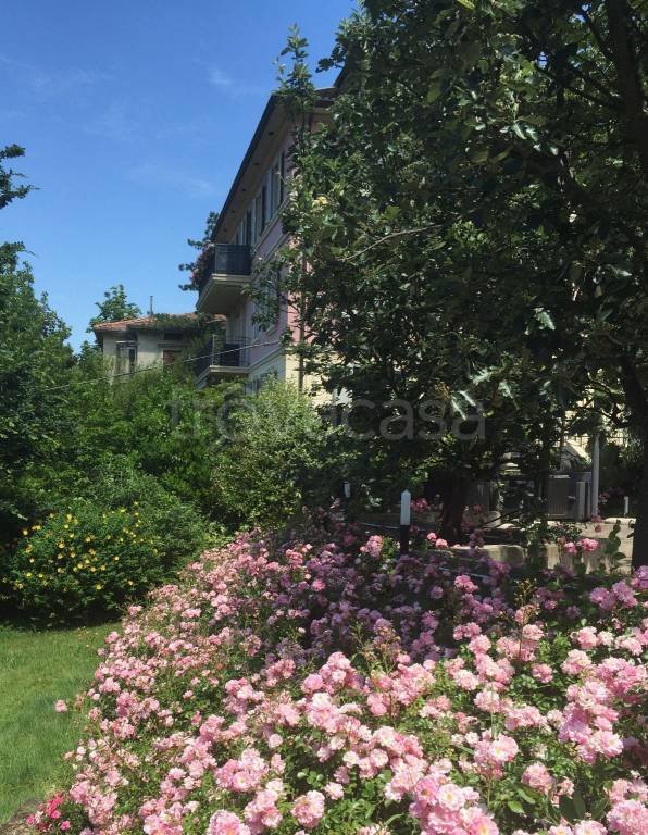 appartamento in affitto a Bologna in zona Santo Stefano