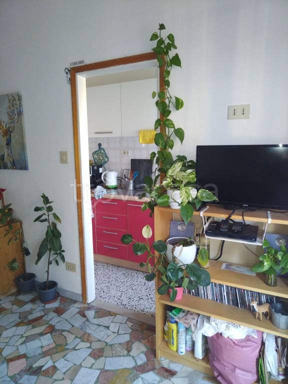 appartamento in affitto a Bologna in zona Bolognina