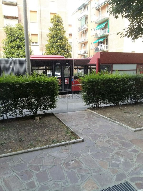 negozio in affitto a Bologna in zona Saffi