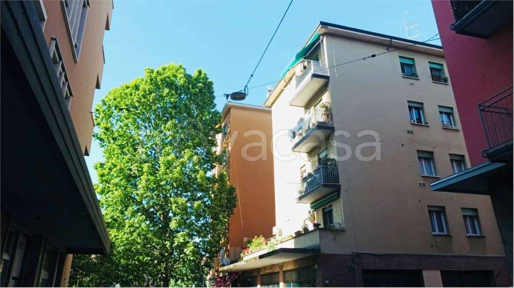 appartamento in affitto a Bologna in zona Andrea Costa