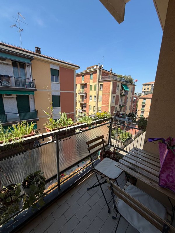 appartamento in affitto a Bologna