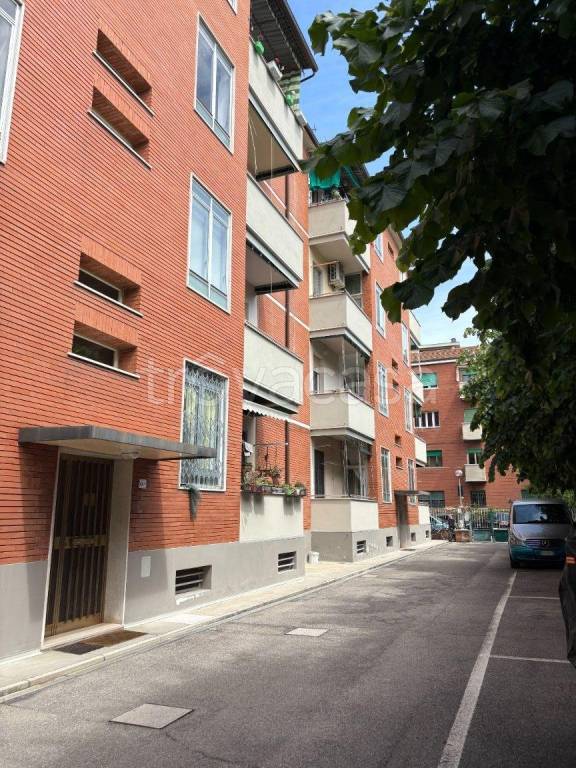 appartamento in affitto a Bologna in zona San Vitale