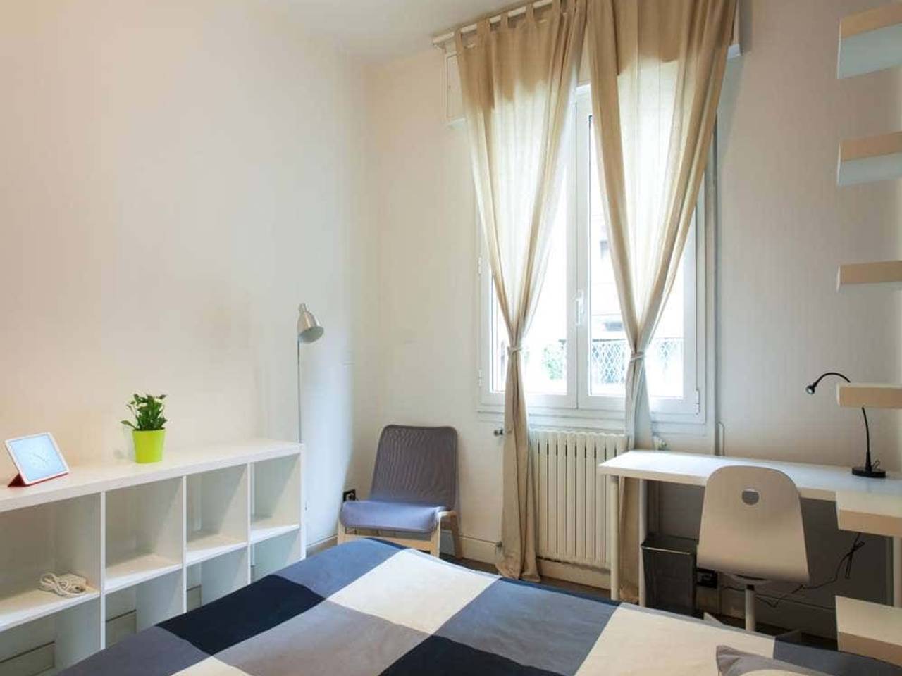 negozio in affitto a Bologna in zona Centro Storico