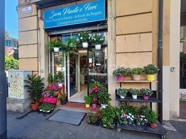 negozio in affitto a Bologna in zona Murri