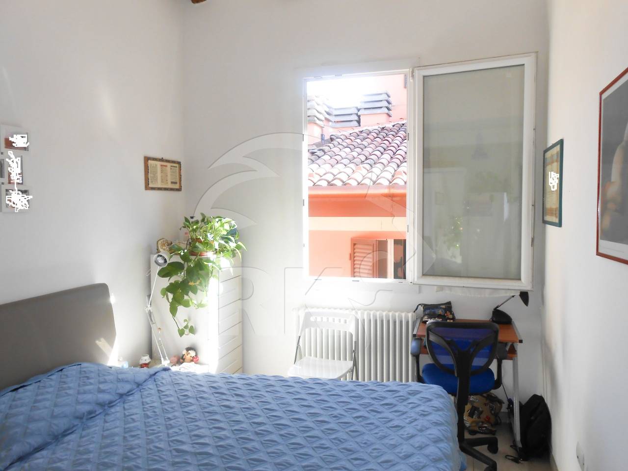 appartamento in affitto a Bologna in zona Centro Storico