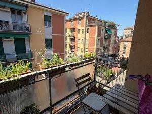 appartamento in affitto a Bologna