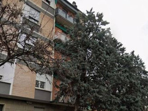 appartamento in affitto a Bologna in zona Centro Storico