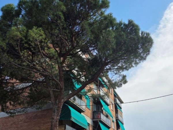 appartamento in affitto a Bologna in zona Reno