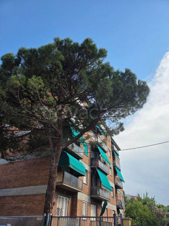 appartamento in affitto a Bologna in zona Santa Viola