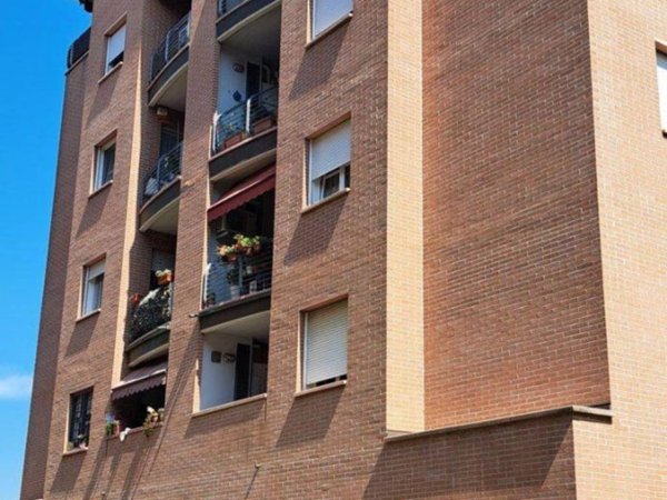 appartamento in affitto a Bologna in zona Borgo Panigale