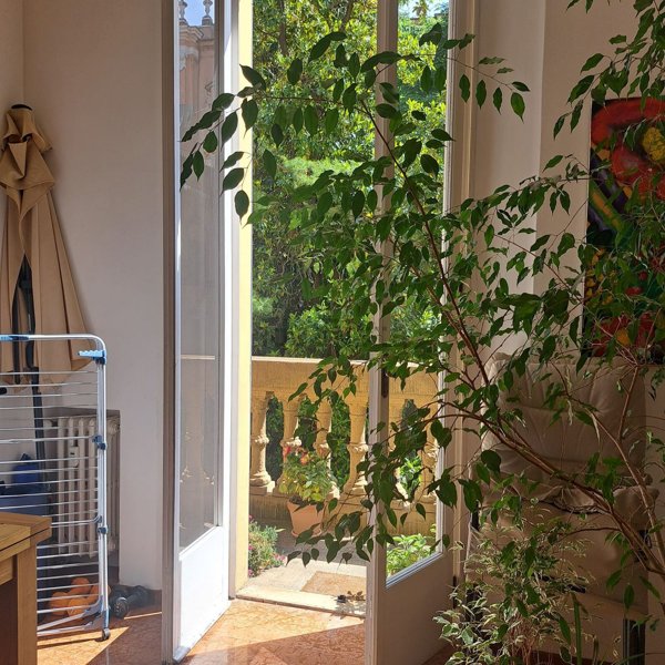 appartamento in affitto a Bologna in zona Centro Storico